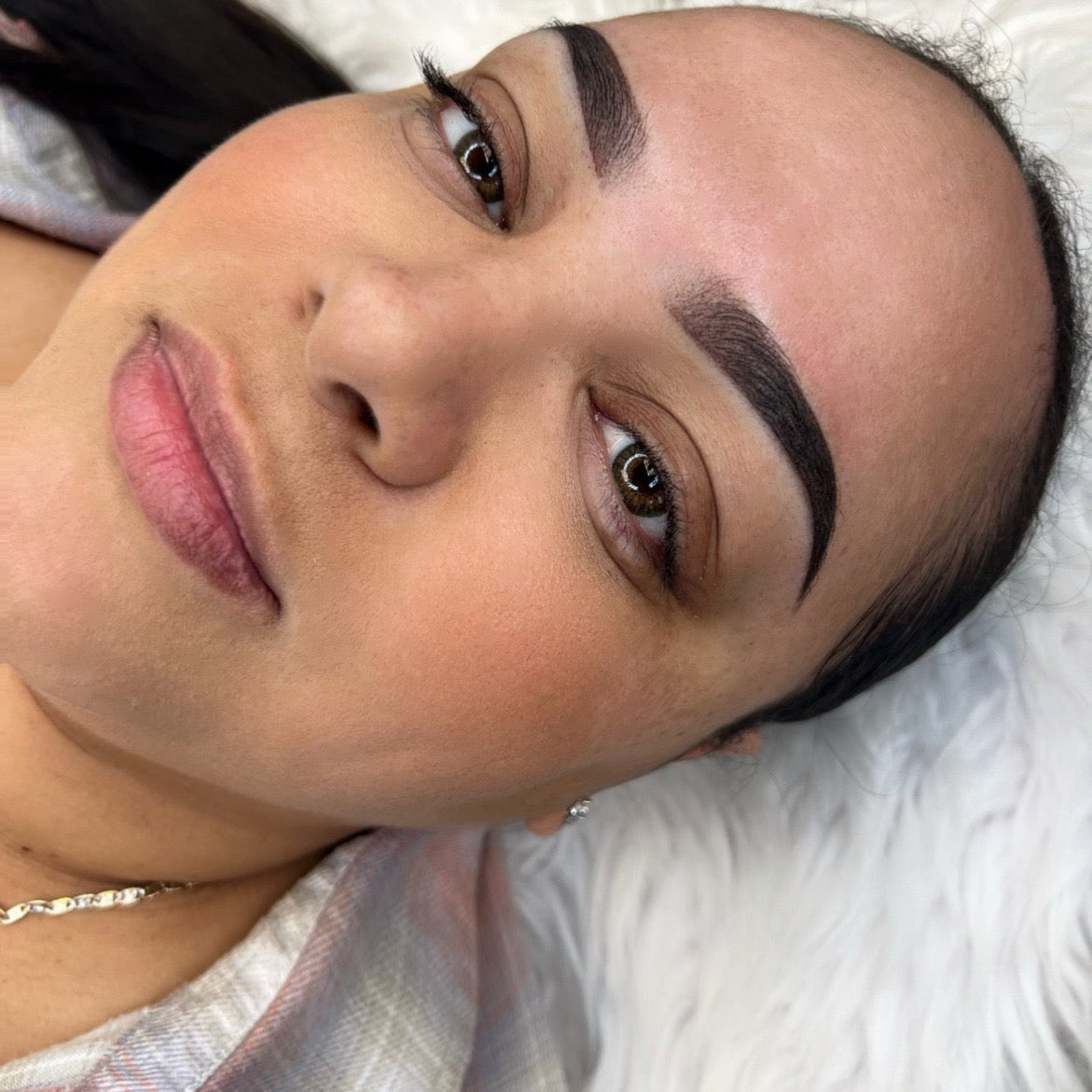 ANNUAL BROWS OR LIP BLUSH TOUCH UP SERVICE